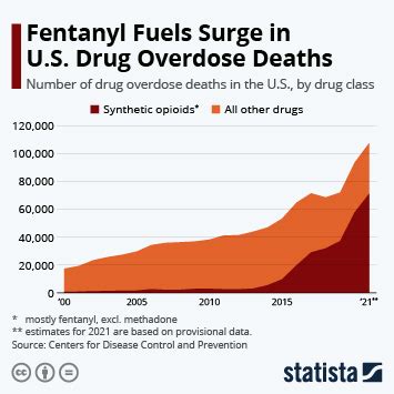 Social media fuels fentanyl crisis as drug dealers take to 